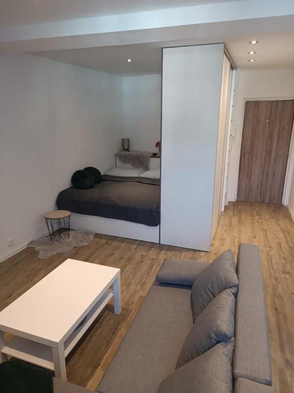 Sky Thermal Apartment room 2